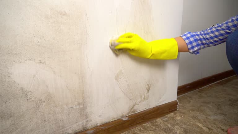 Best Crawl Space Mold Remediation  in Gillette, NJ