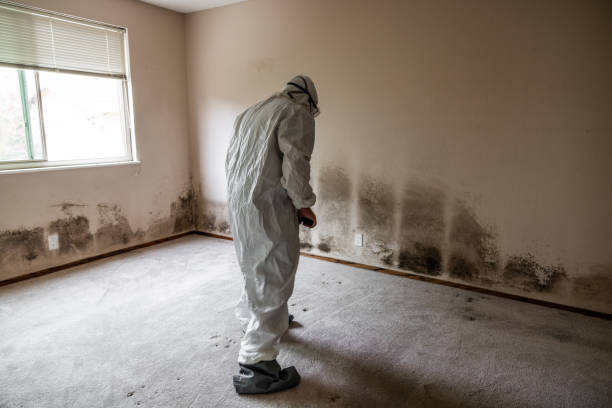 Biohazard Mold Removal in Gillette, NJ
