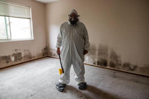 Best Mold Prevention Services  in Gillette, NJ
